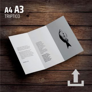folhetos tripticos
