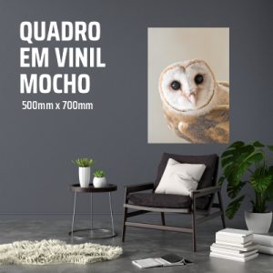 Vinil decorativo parede