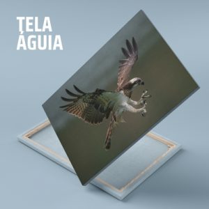 Telas personalizadas